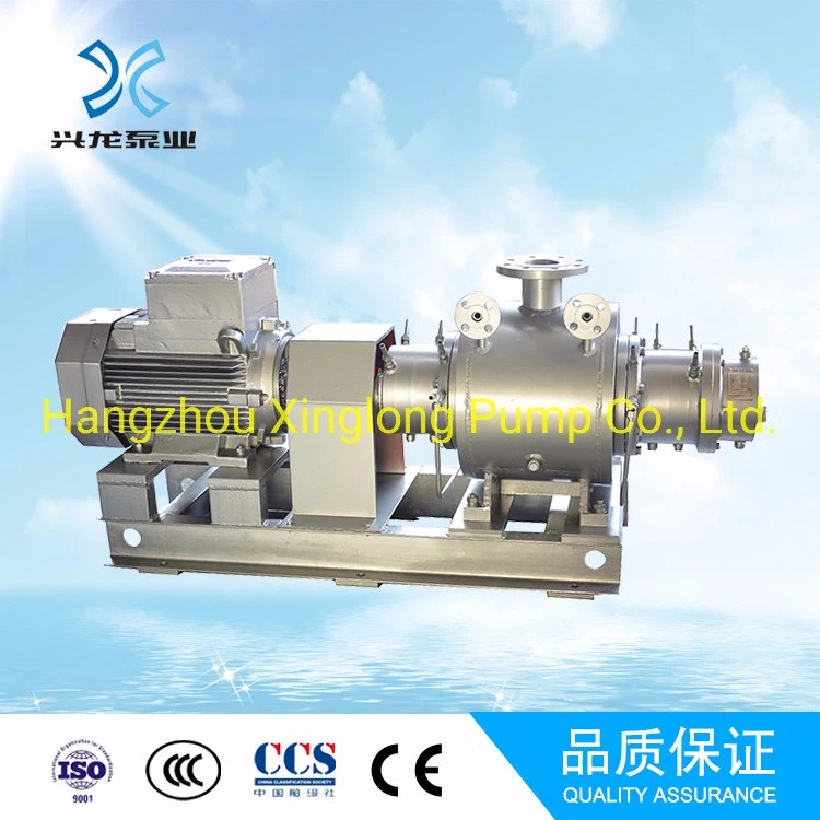 Xinglong Pd Positive Displacement Double Twin Screw Pump for Fuel Oil and Other Oils