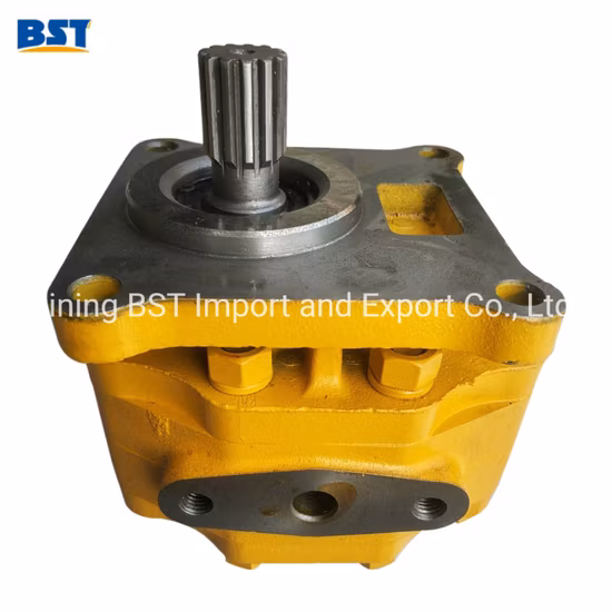 Shantui Caterpillar Bulldozer Bagger Cummins Weichai Isuzu Perkins Hydraulik/Wasser/Kraftstoffeinspritzung/Öl/Getriebe/Arbeit/Lenkung/Getriebe/Zahnradpumpe